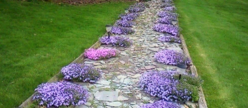 Bed and Breakfast The Pines Of Dresden Экстерьер фото